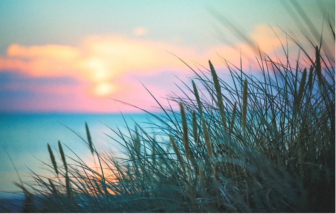 Lessons on living from lifes final chapter